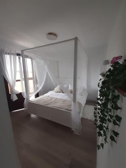 Casa Completa Loredo Beach Zewnętrze zdjęcie